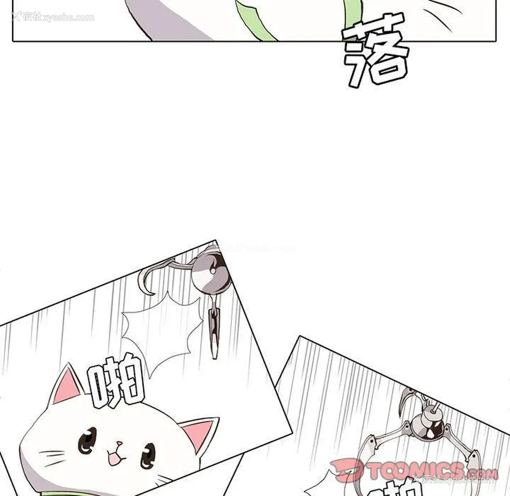 17P - 野性之城