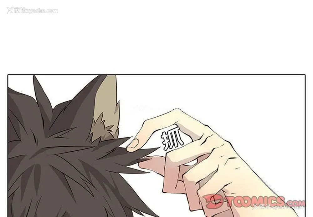 1P - 野性之城