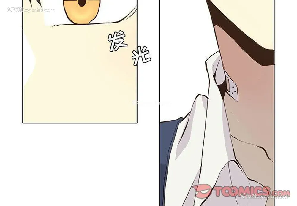 3P - 野性之城