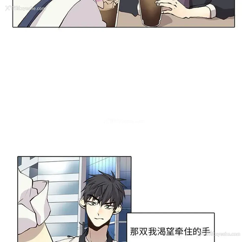 40P - 野性之城