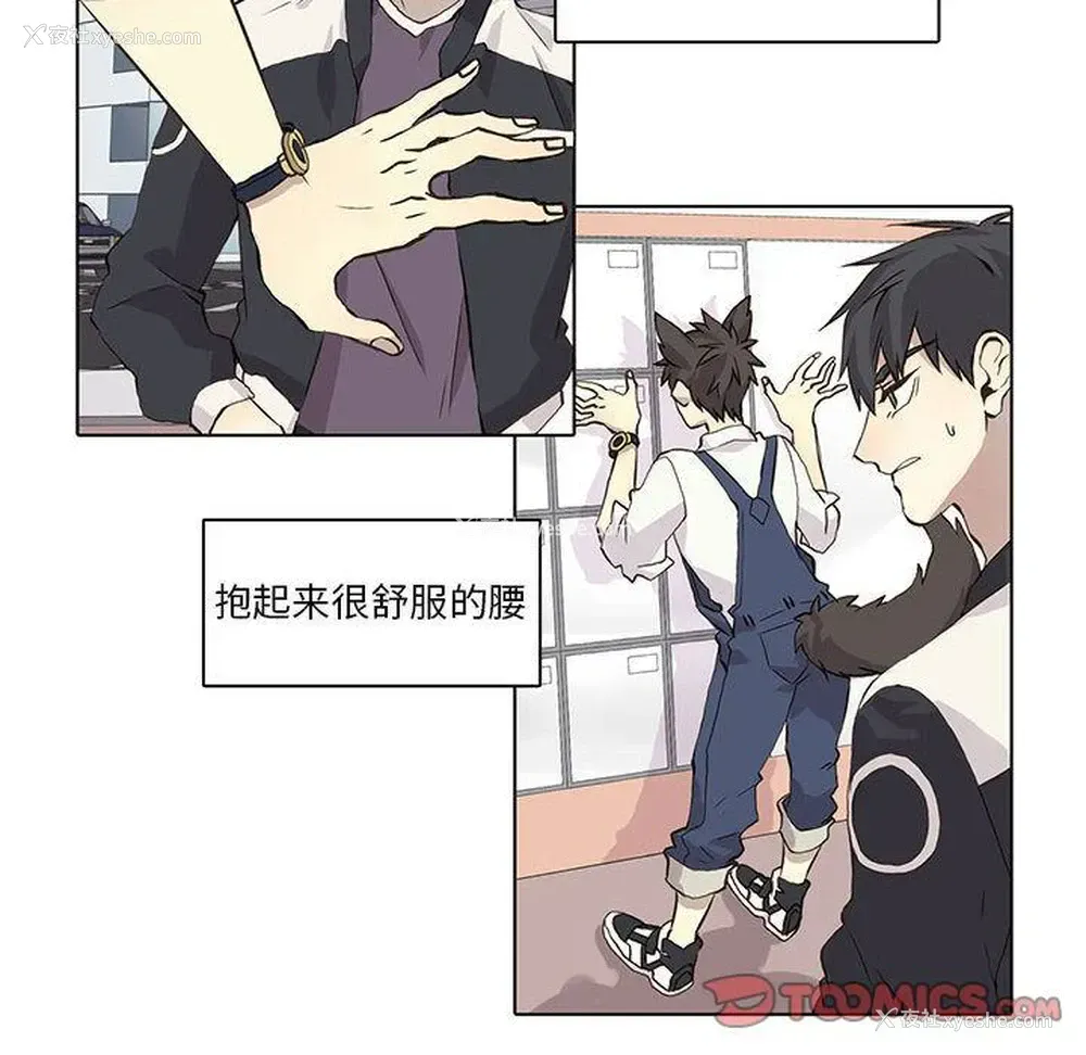 41P - 野性之城