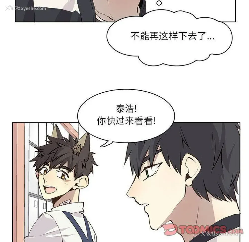 43P - 野性之城