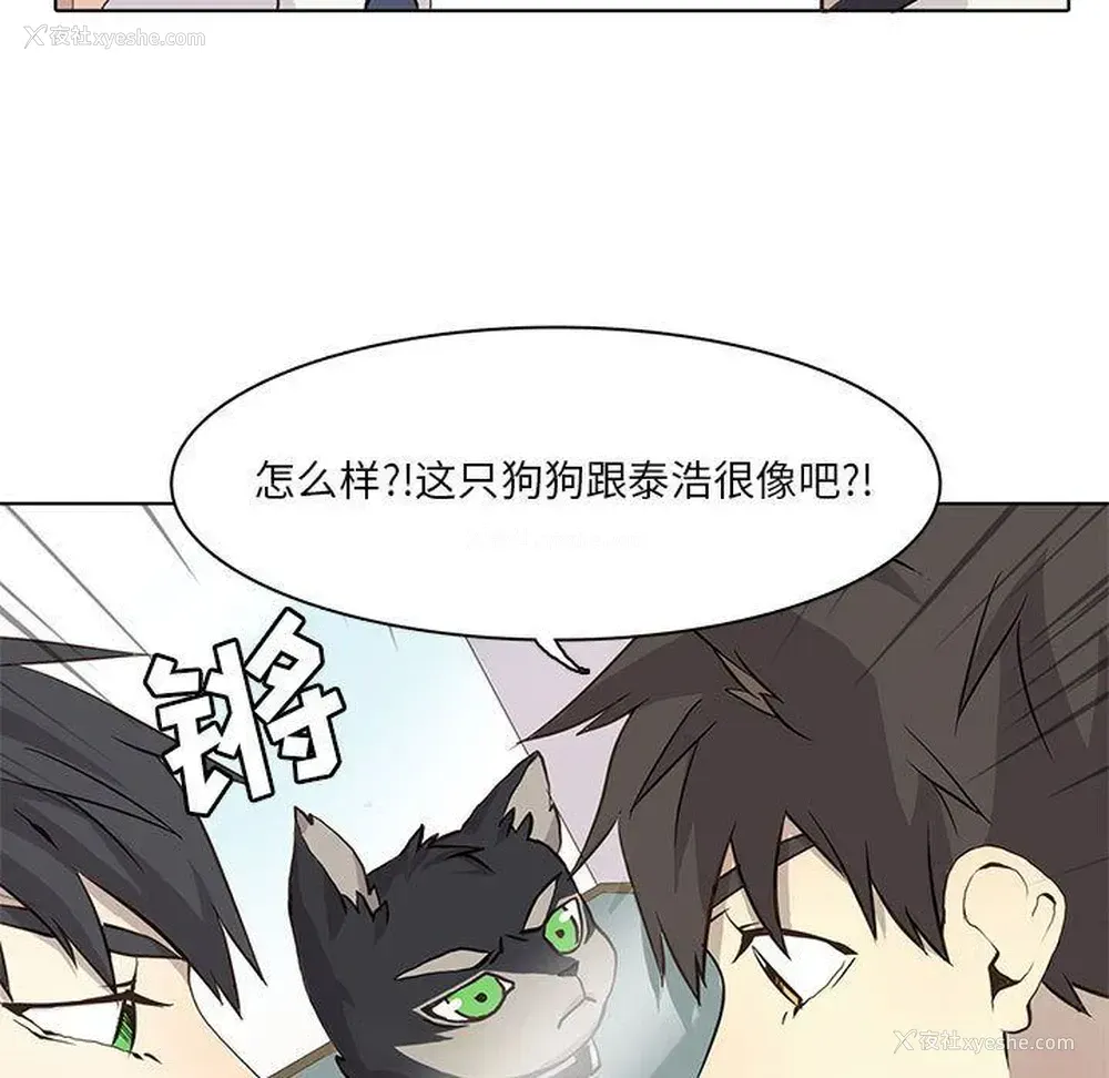44P - 野性之城