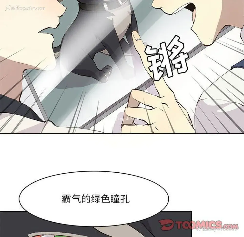 45P - 野性之城