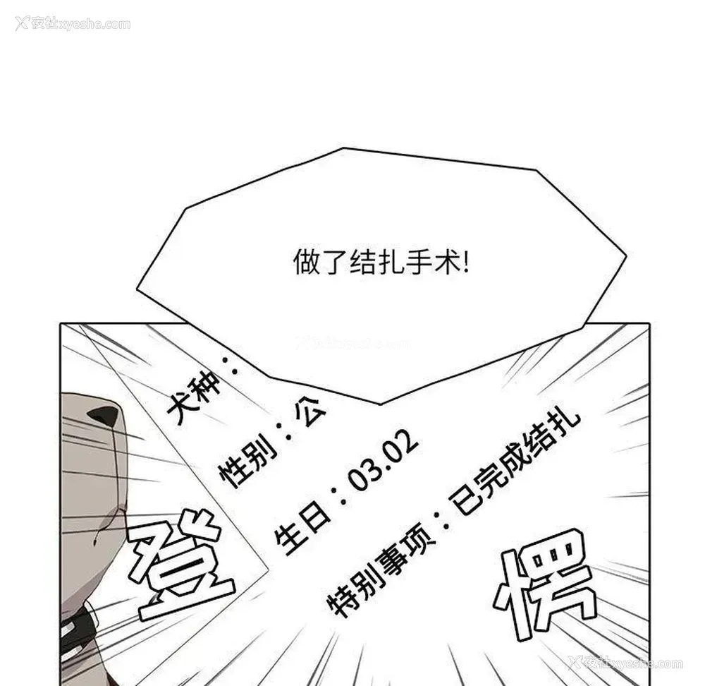 50P - 野性之城