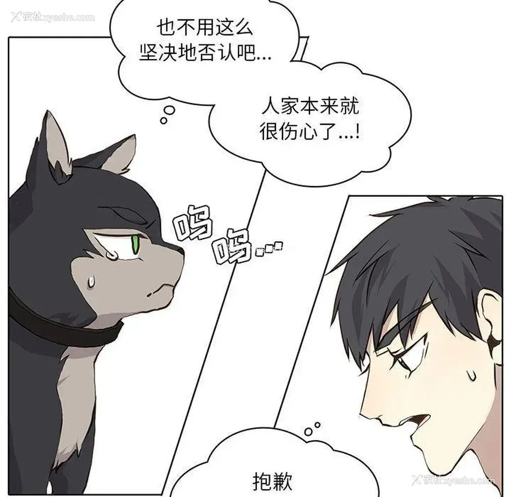 10P - 野性之城