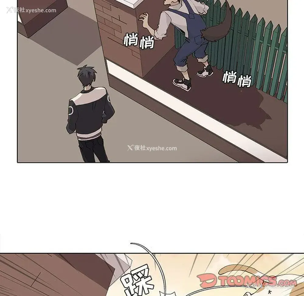 17P - 野性之城