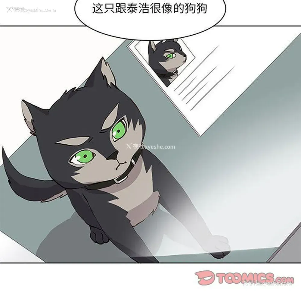 5P - 野性之城