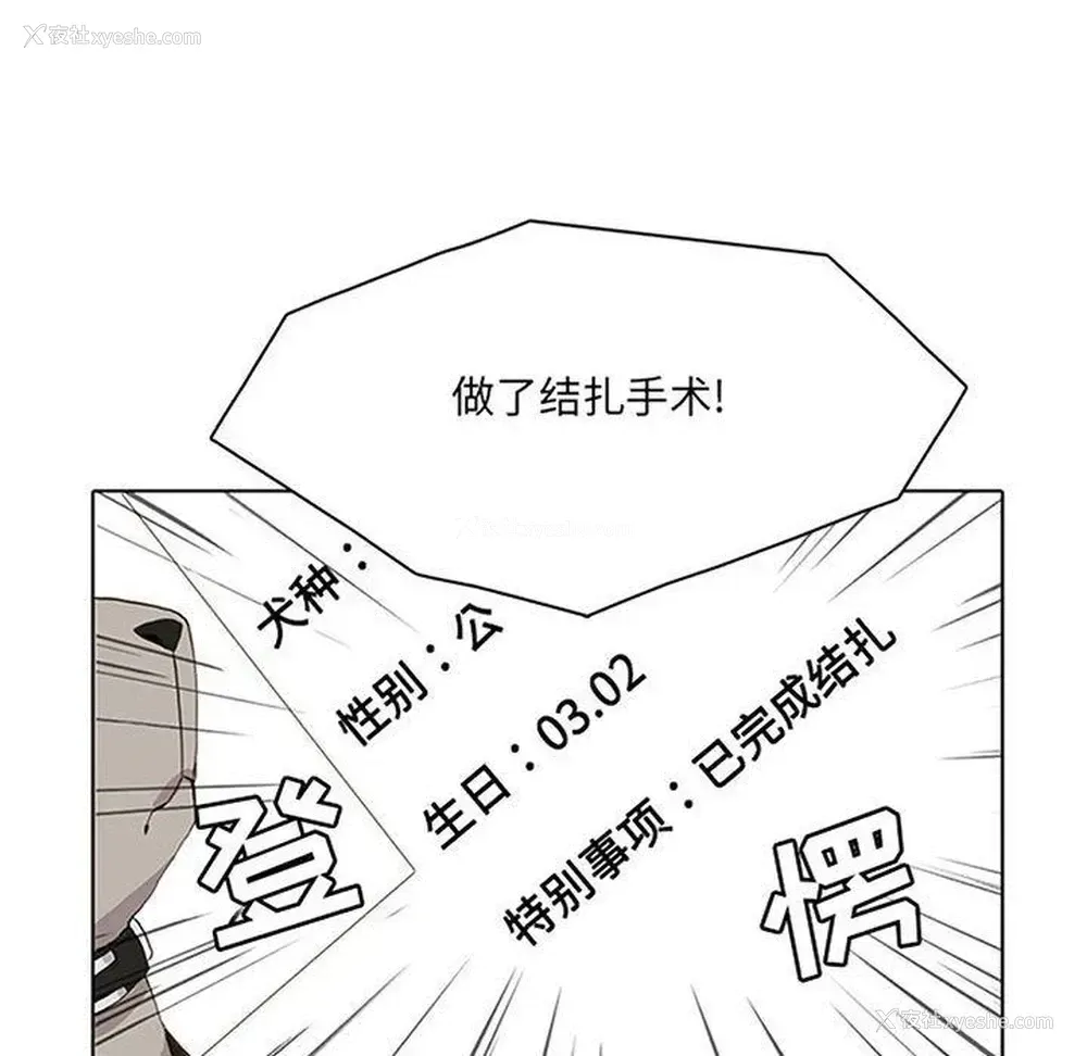 6P - 野性之城