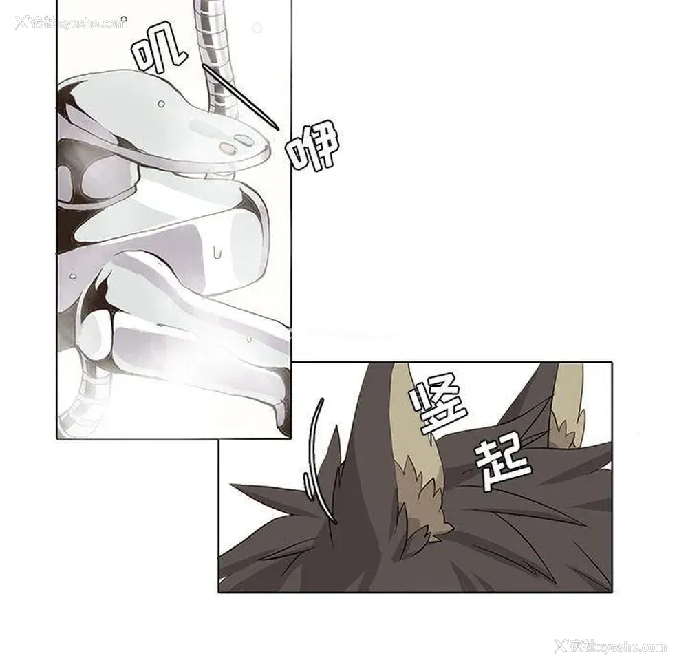 10P - 野性之城