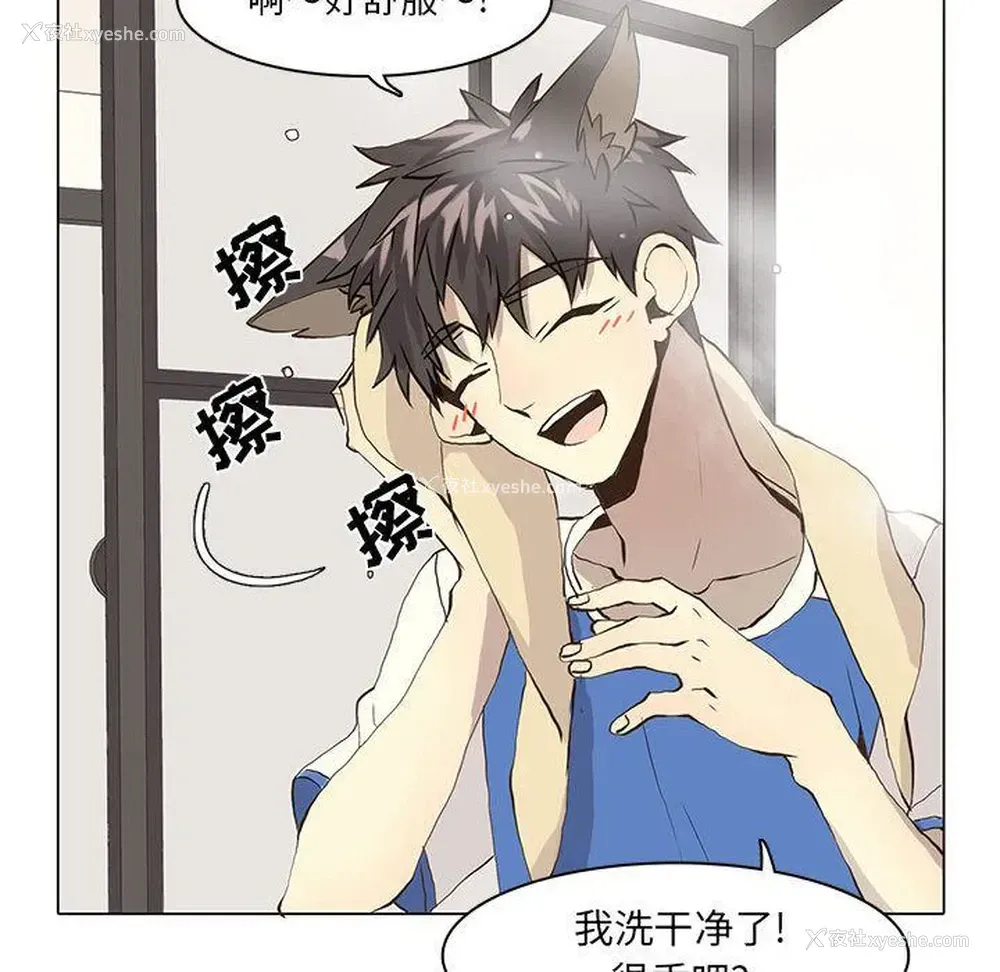 42P - 野性之城