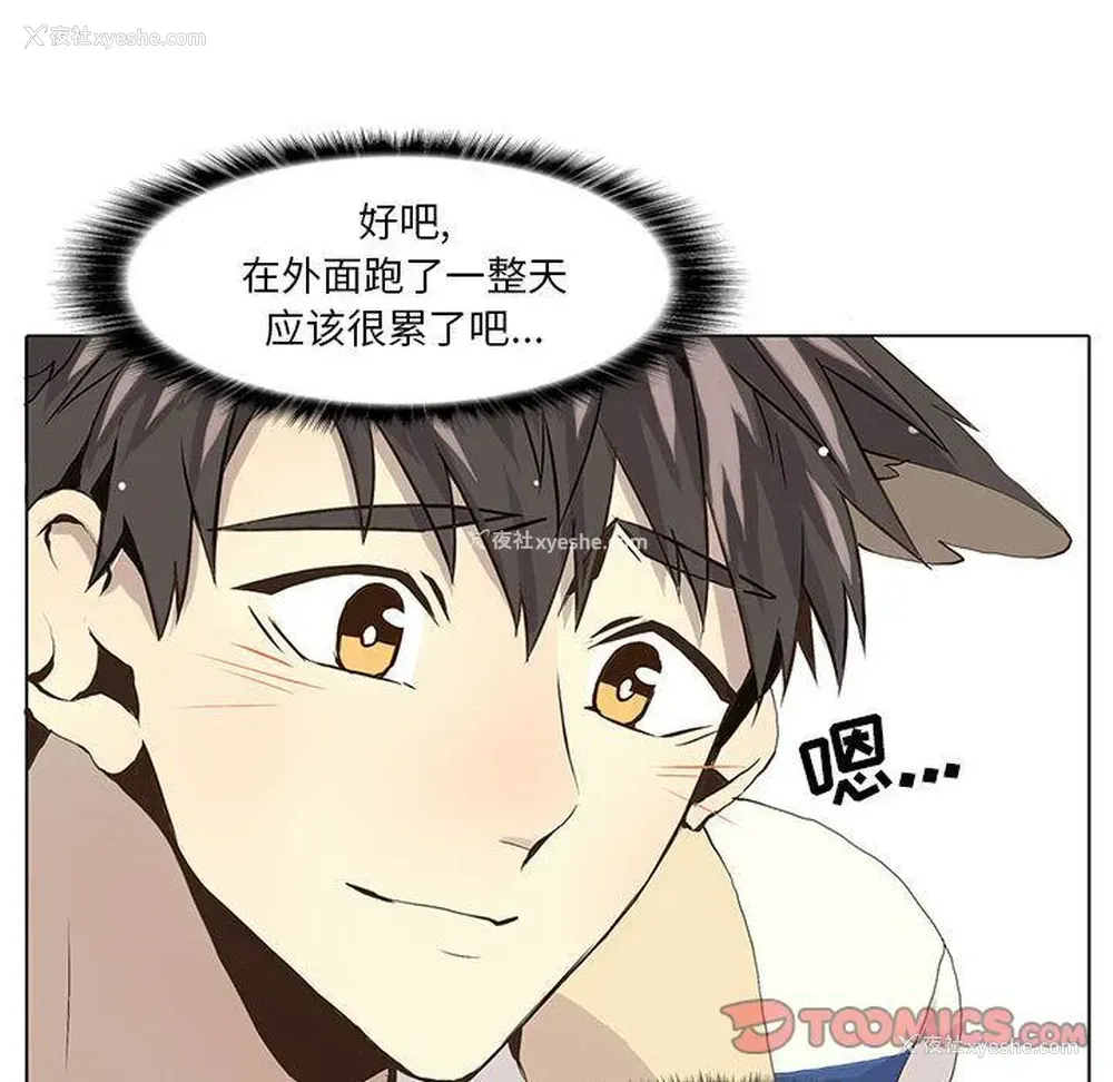 51P - 野性之城