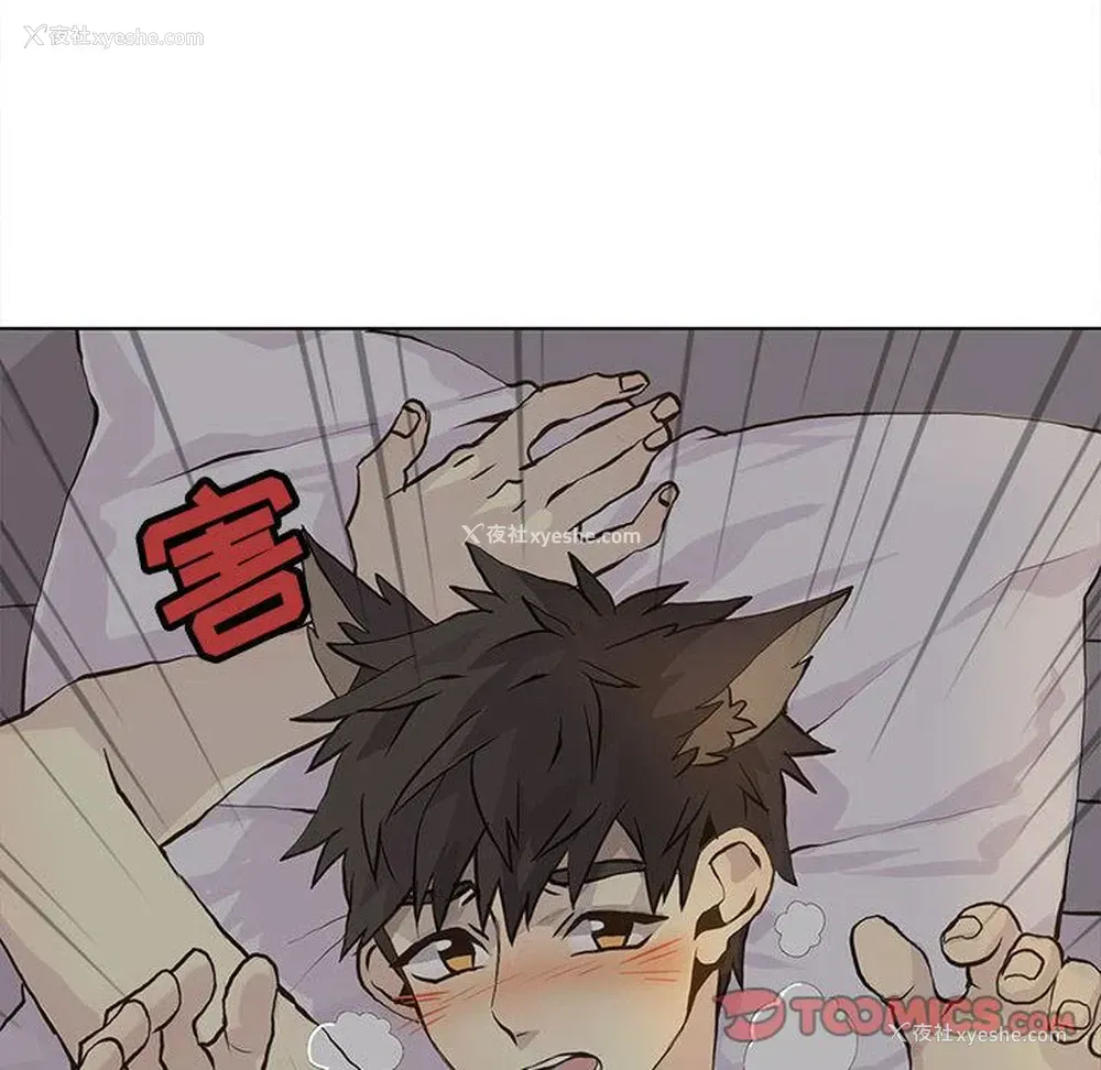 18P - 野性之城