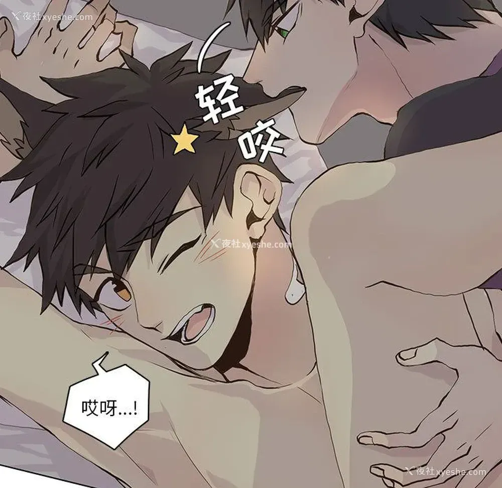 23P - 野性之城