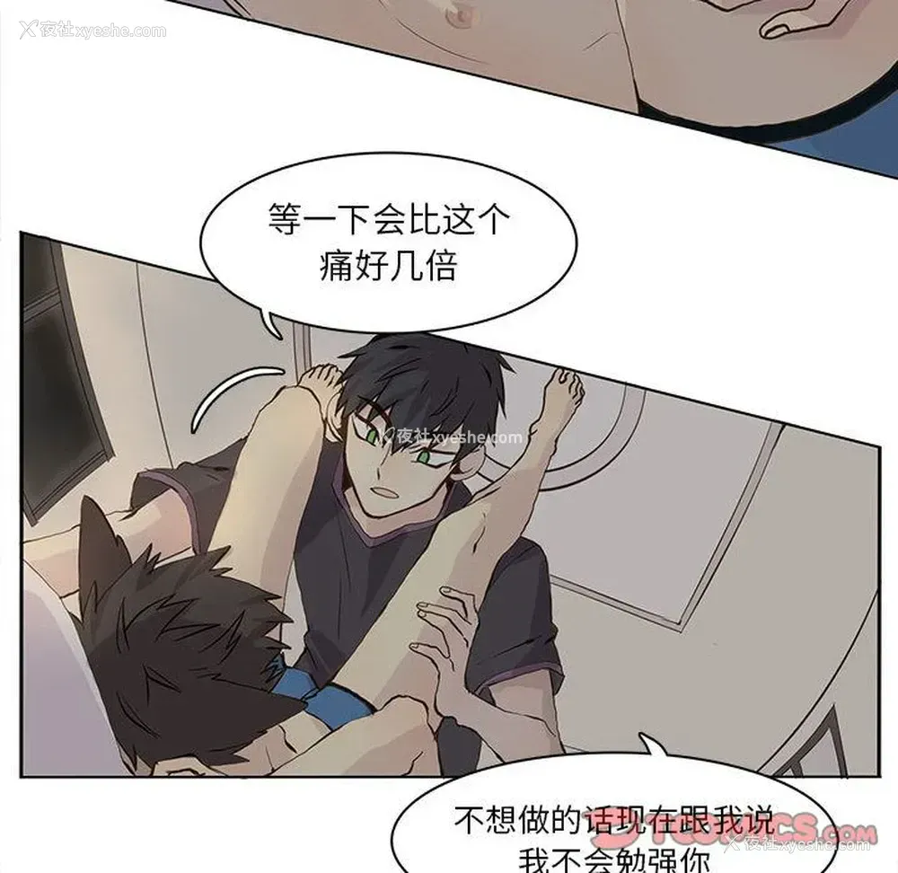 24P - 野性之城