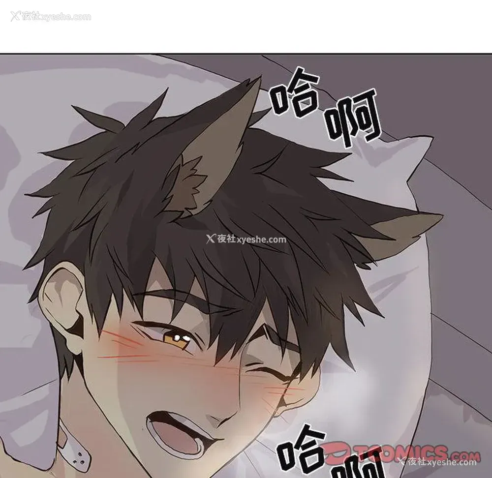 32P - 野性之城