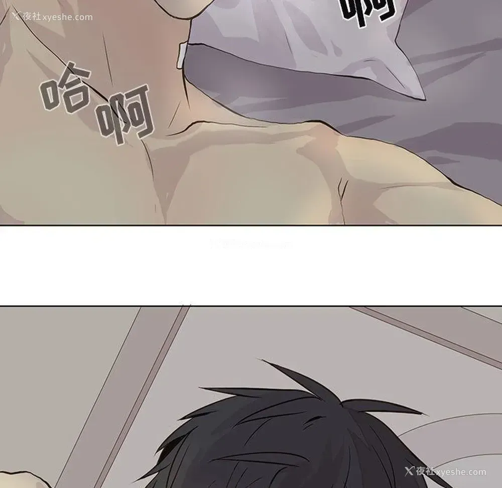 33P - 野性之城