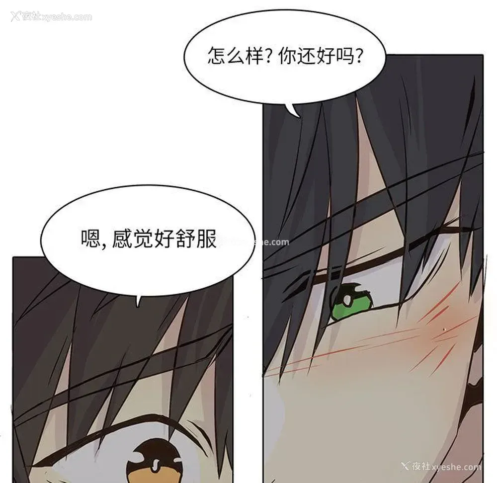 37P - 野性之城