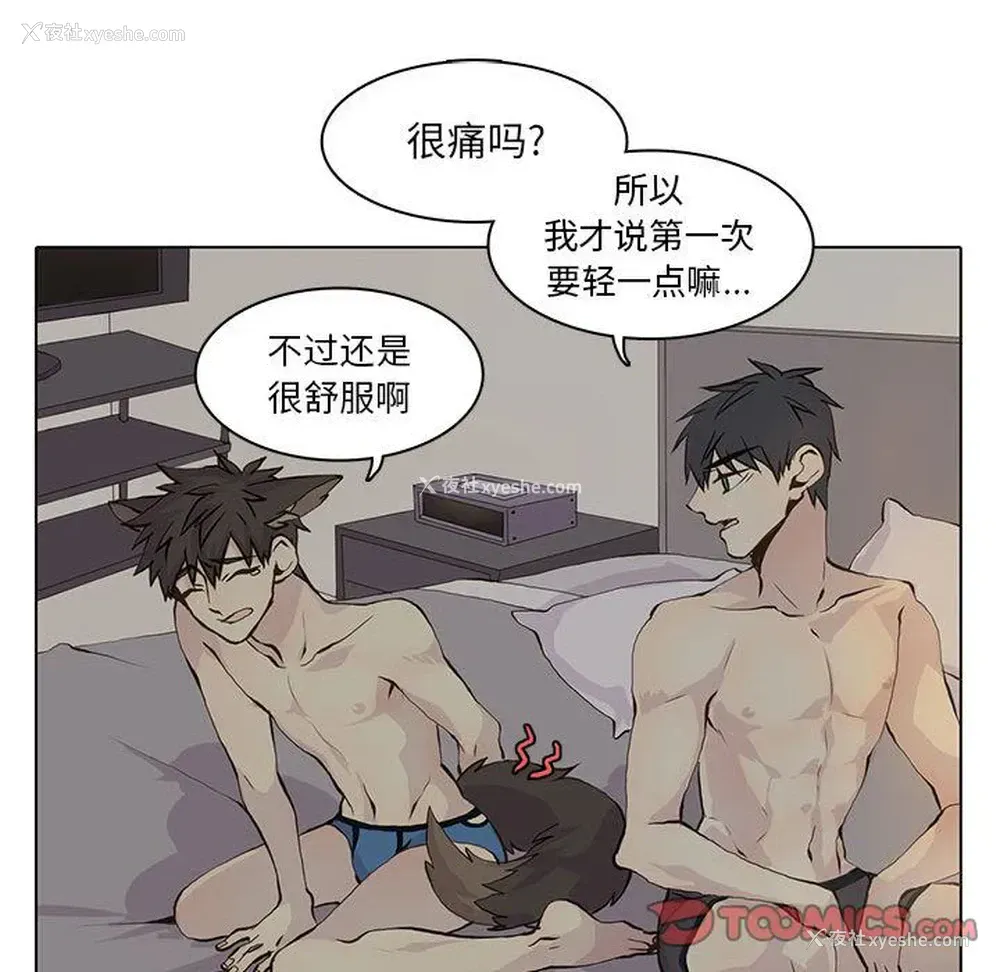 42P - 野性之城