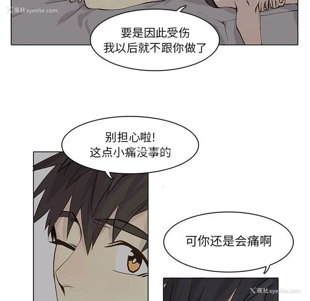 43P - 野性之城
