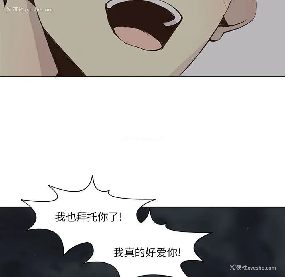 49P - 野性之城