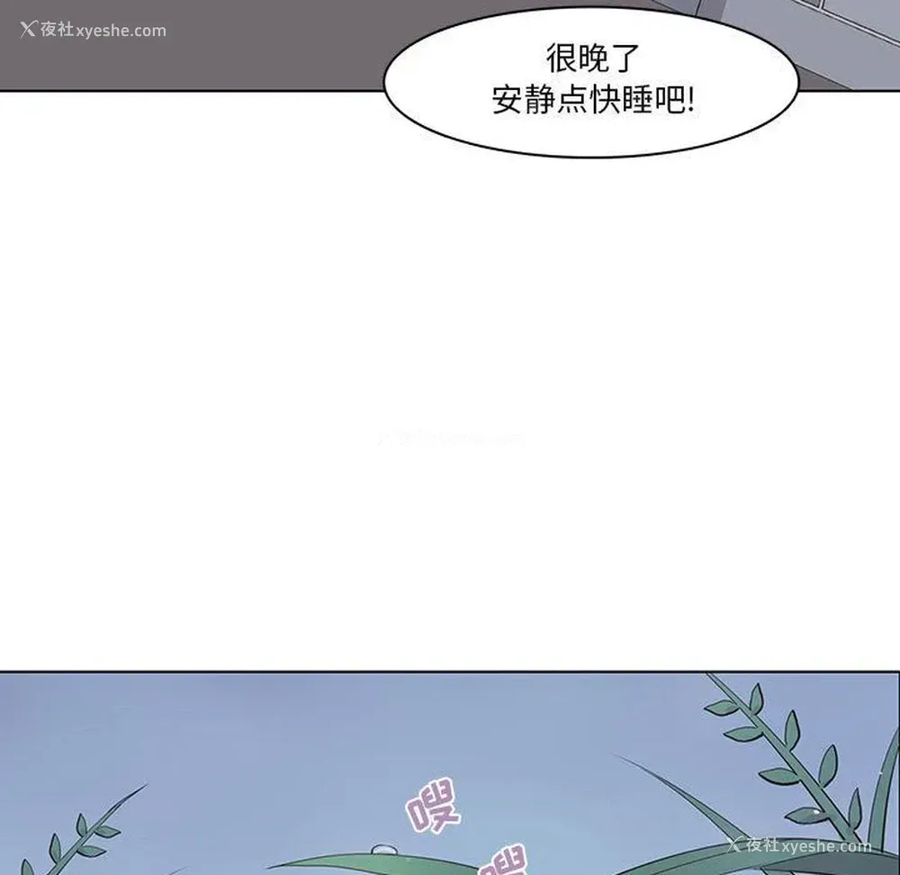 51P - 野性之城