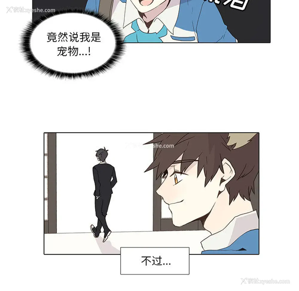 28P - 野性之城