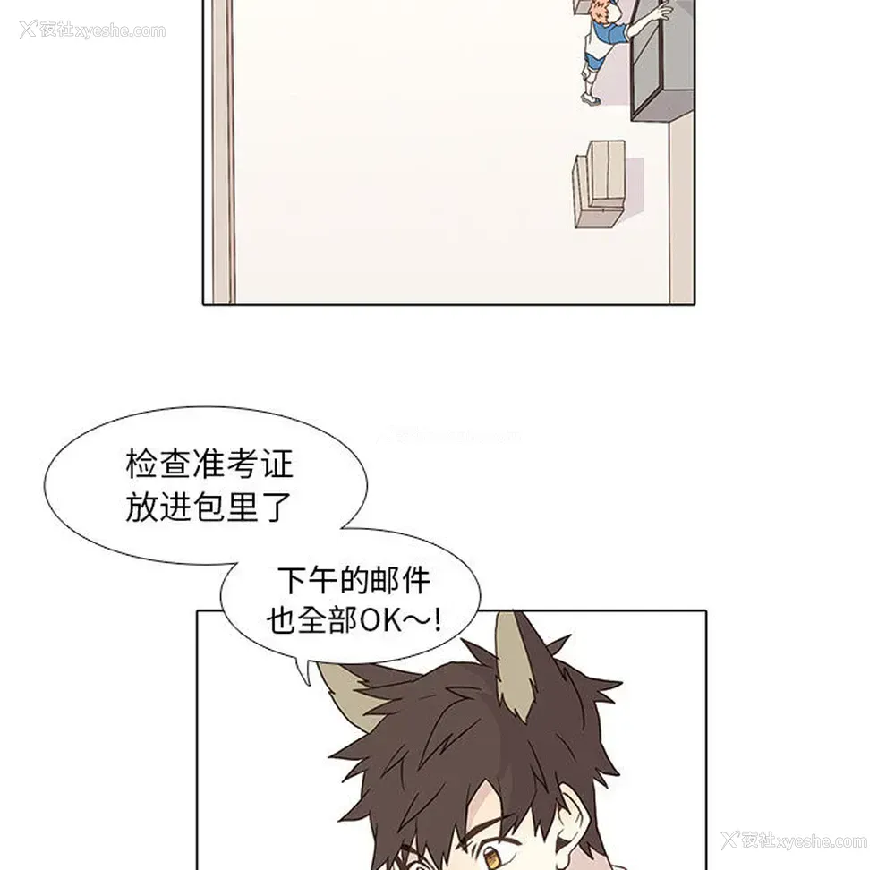 32P - 野性之城