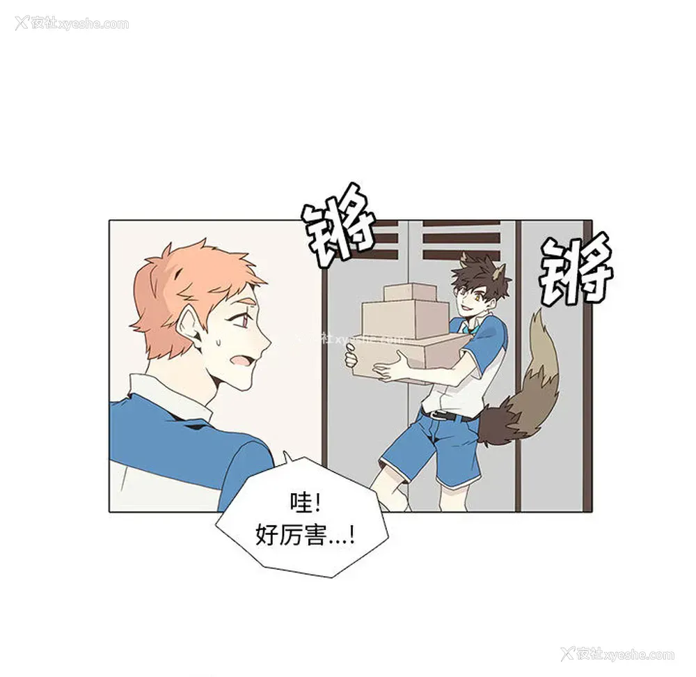42P - 野性之城