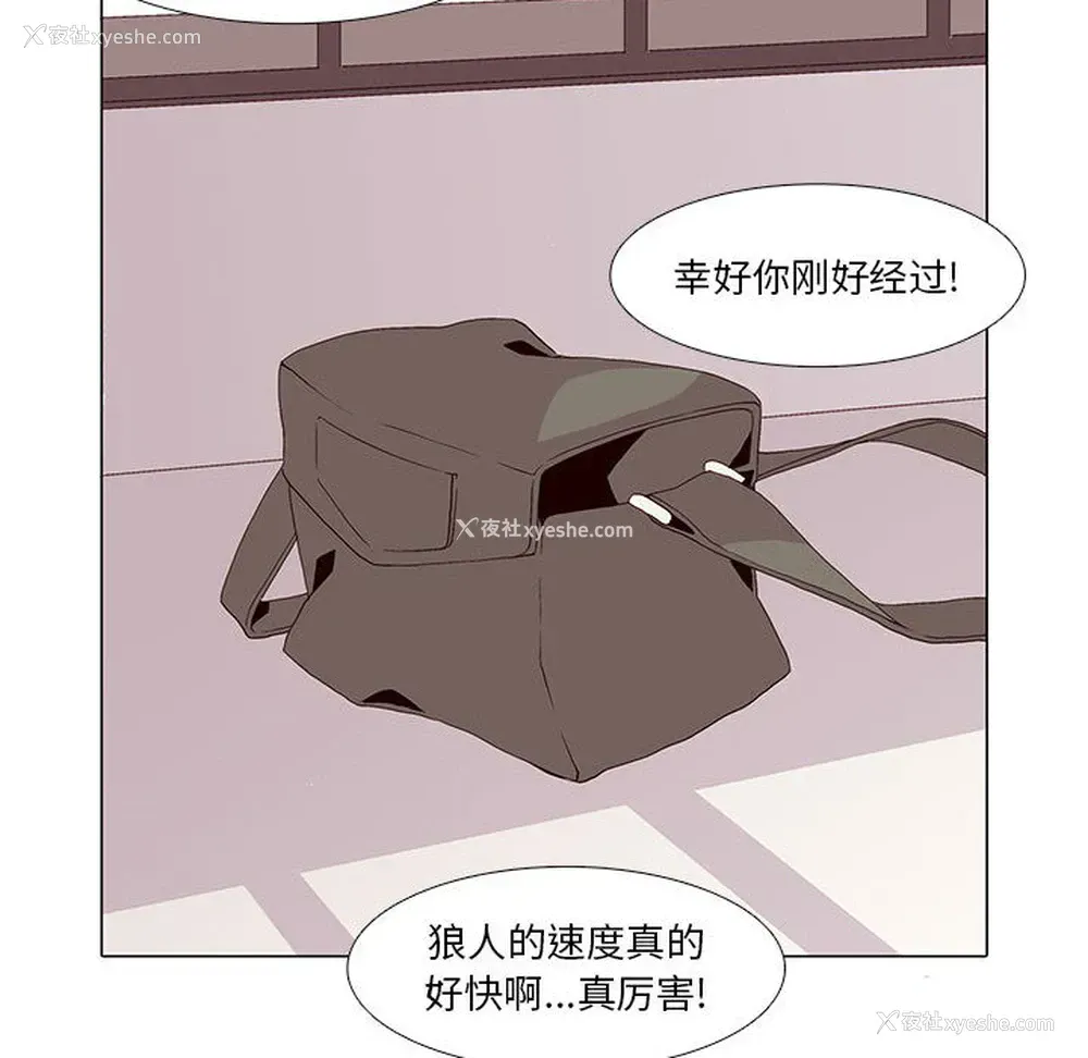 45P - 野性之城