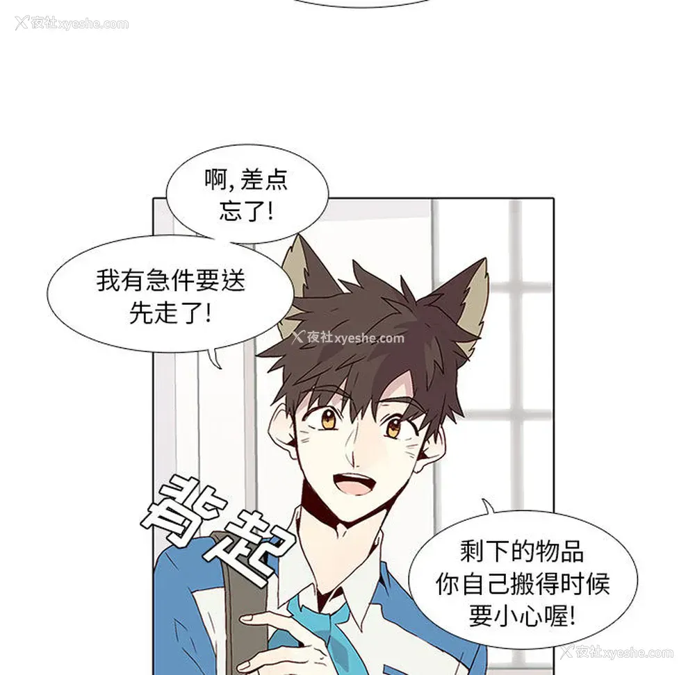 46P - 野性之城