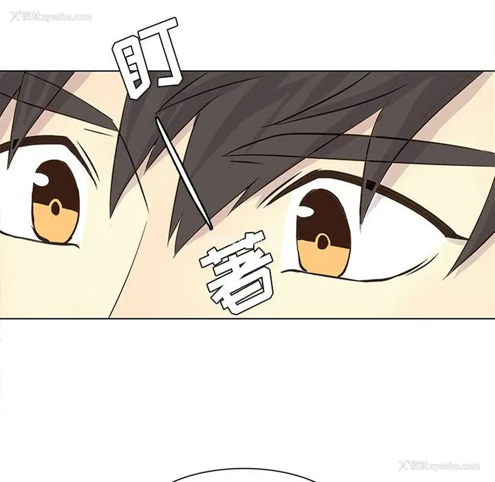 23P - 野性之城