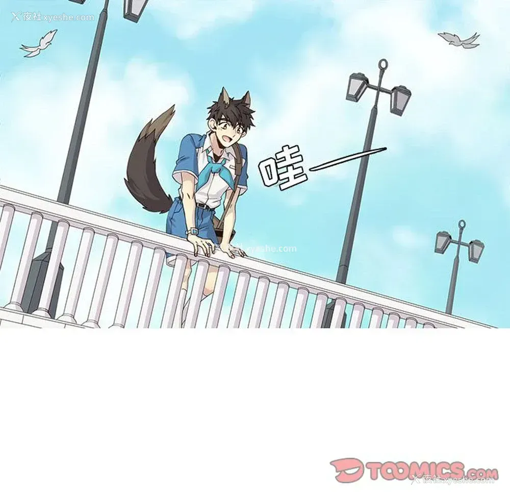 32P - 野性之城