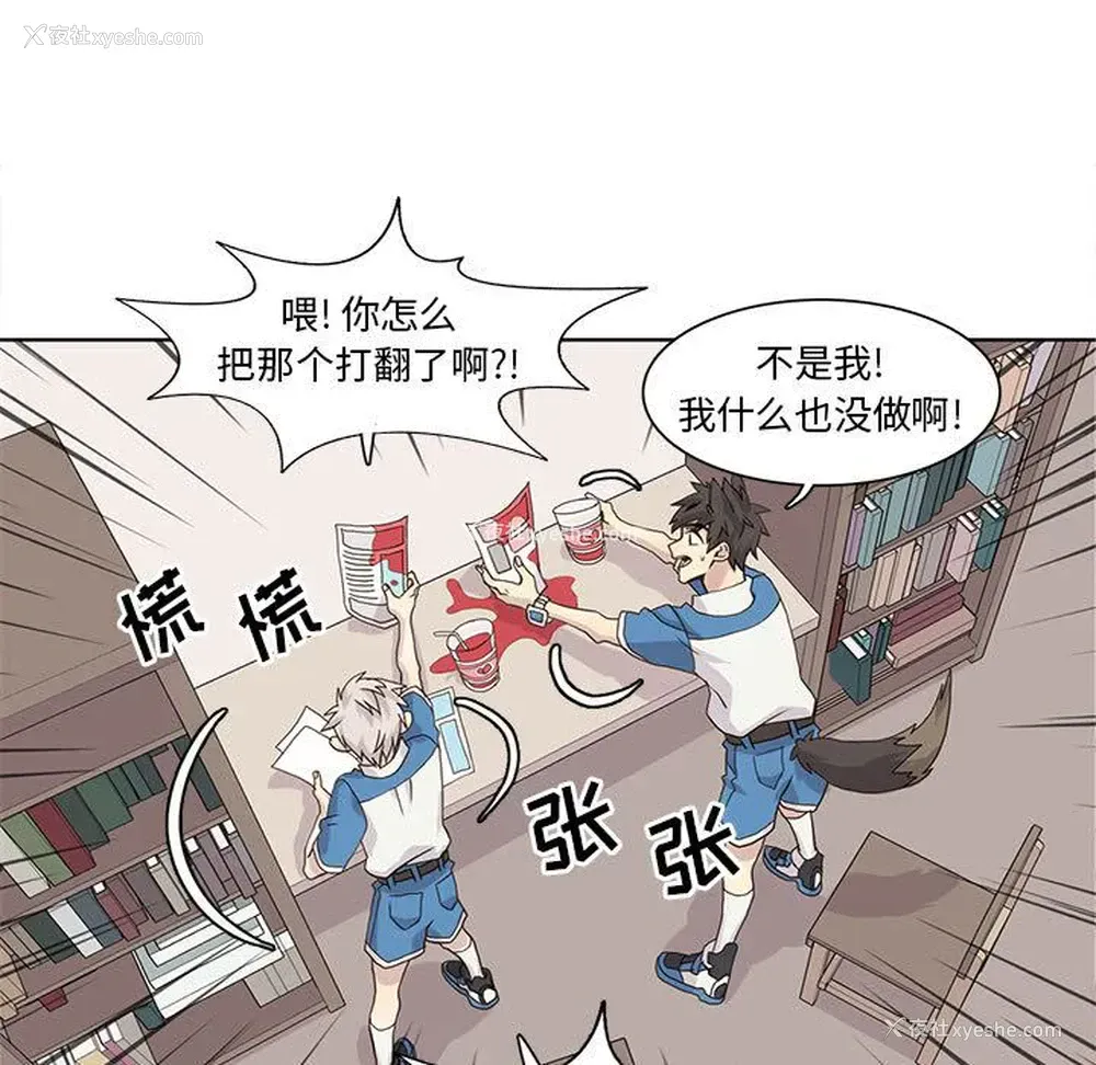 13P - 野性之城