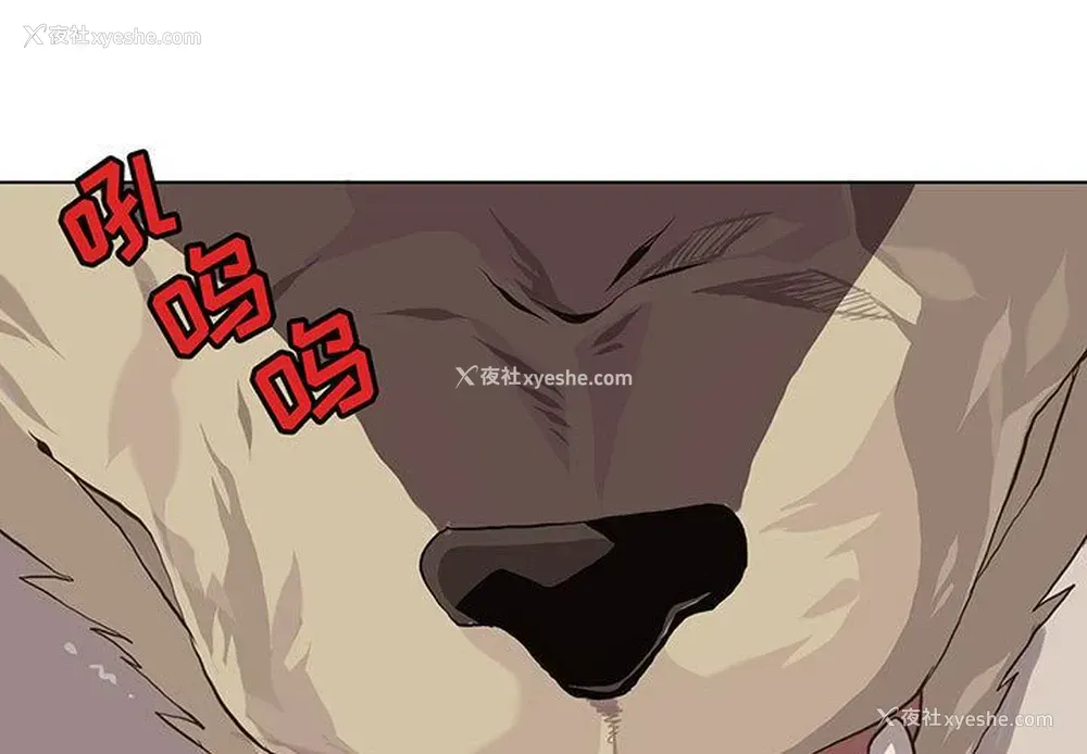 1P - 野性之城