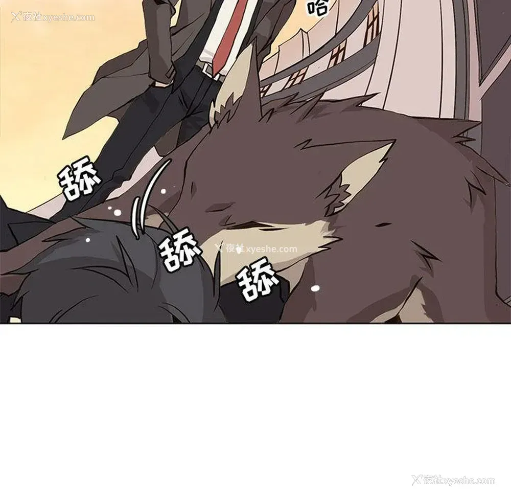 25P - 野性之城