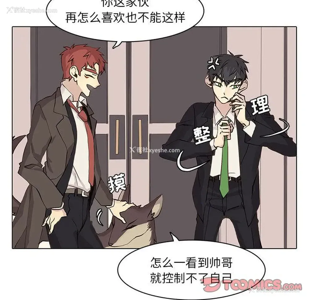 28P - 野性之城