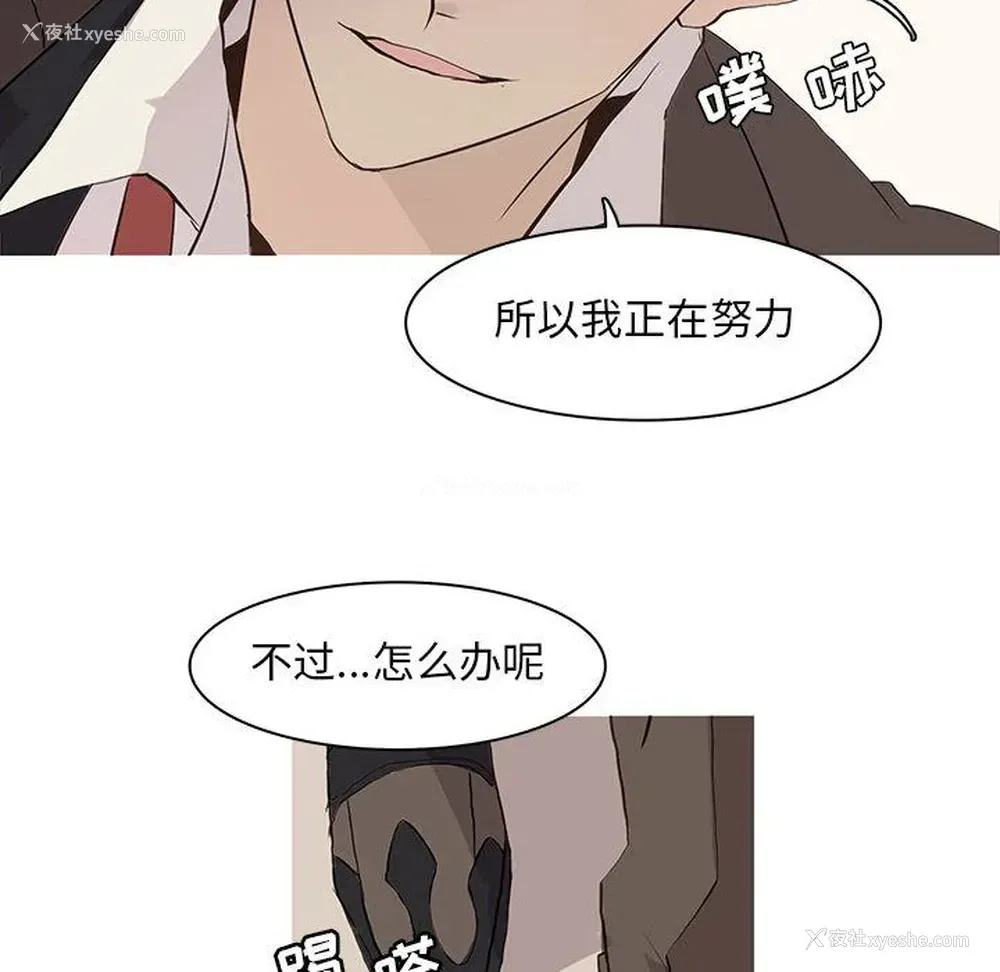 41P - 野性之城
