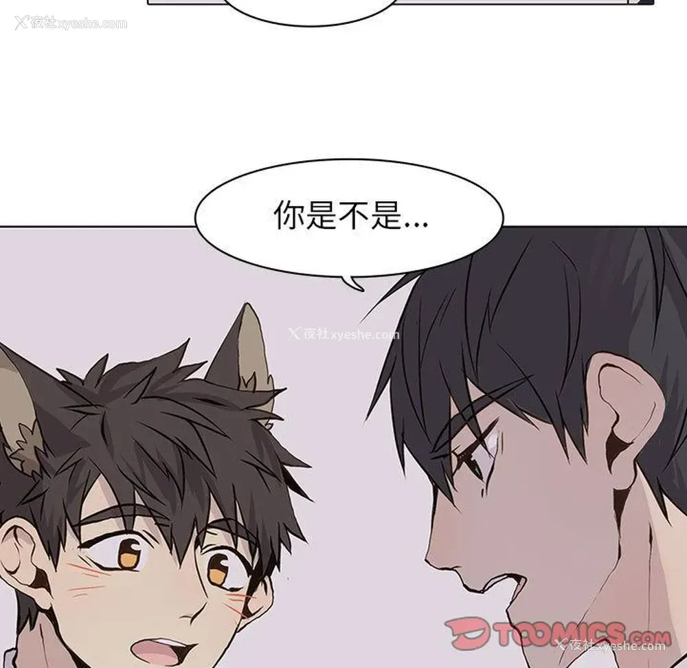 44P - 野性之城