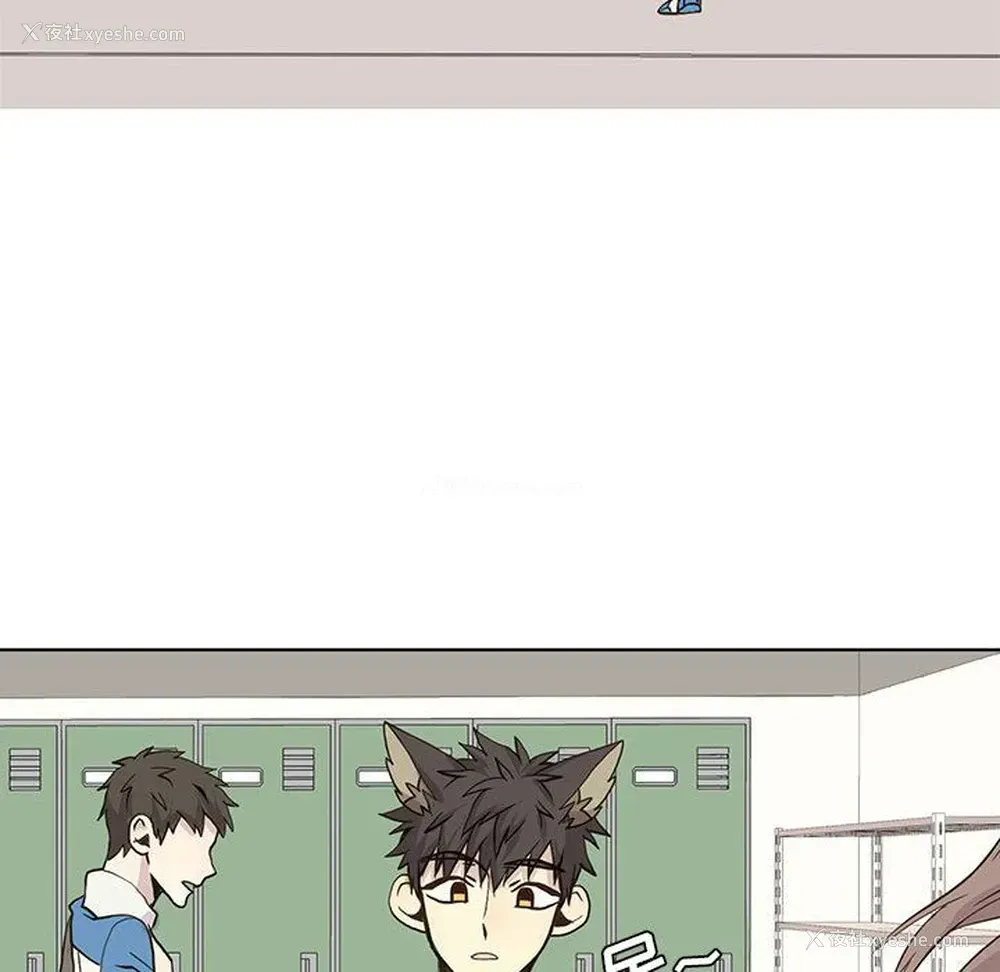 43P - 野性之城