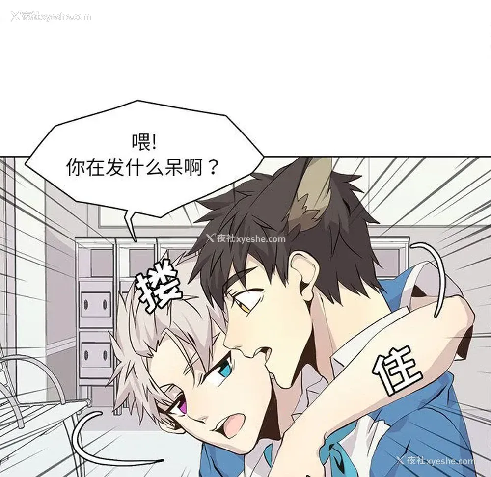 47P - 野性之城