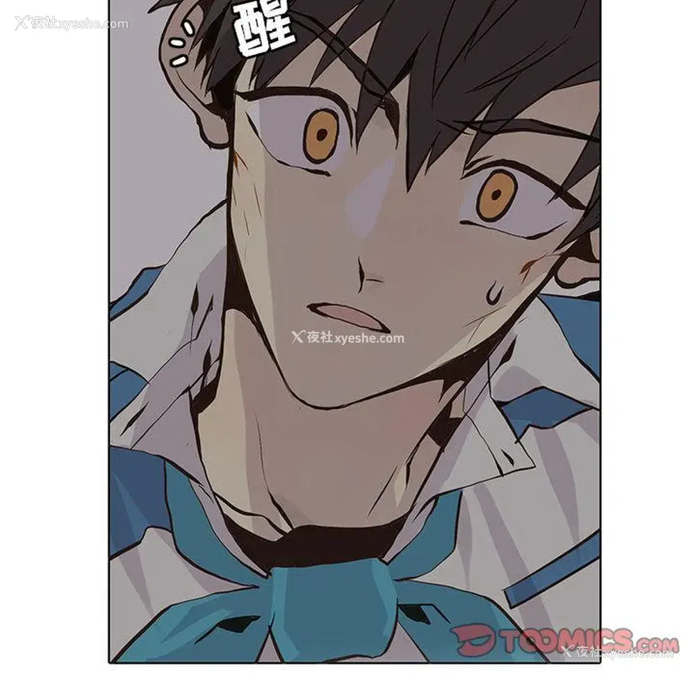 16P - 野性之城