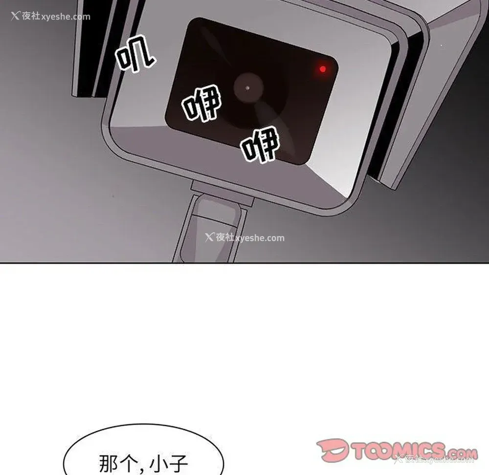 24P - 野性之城