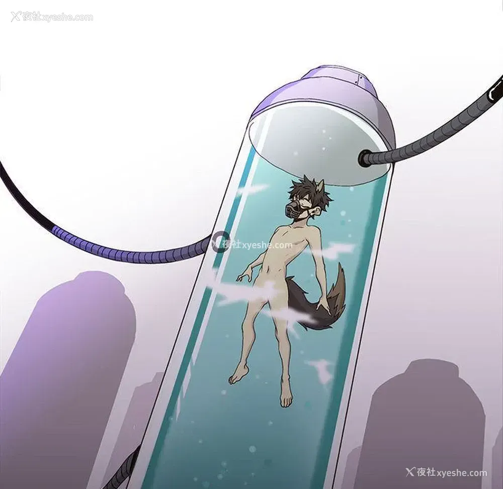 51P - 野性之城