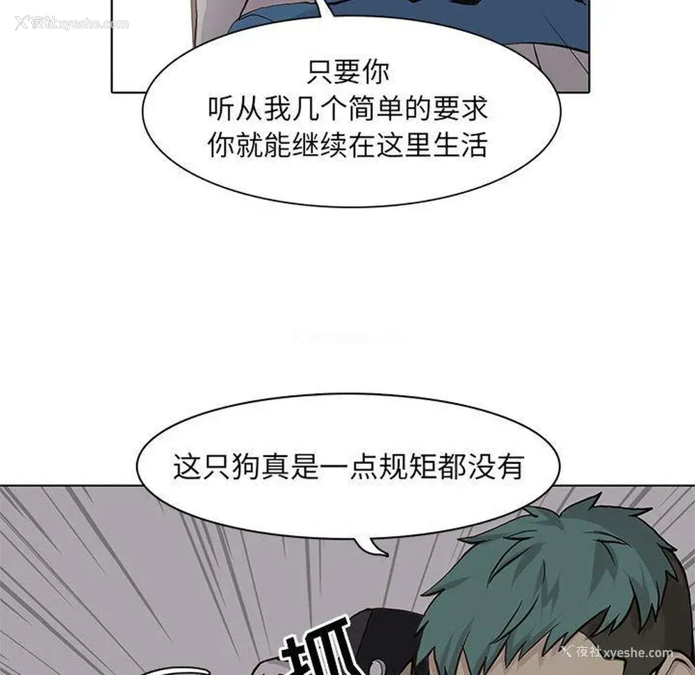 59P - 野性之城