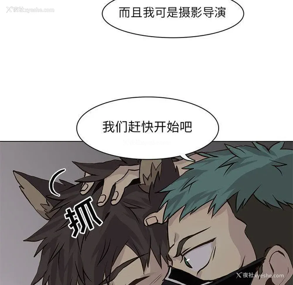 81P - 野性之城