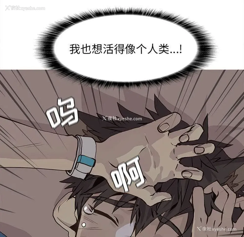 36P - 野性之城