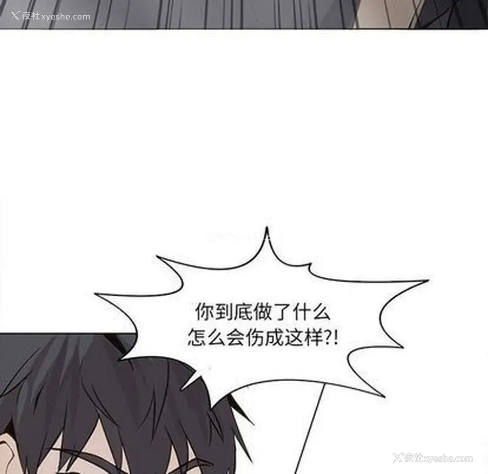 28P - 野性之城