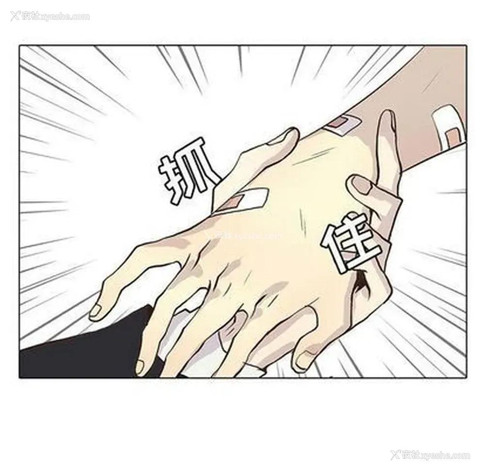 49P - 野性之城