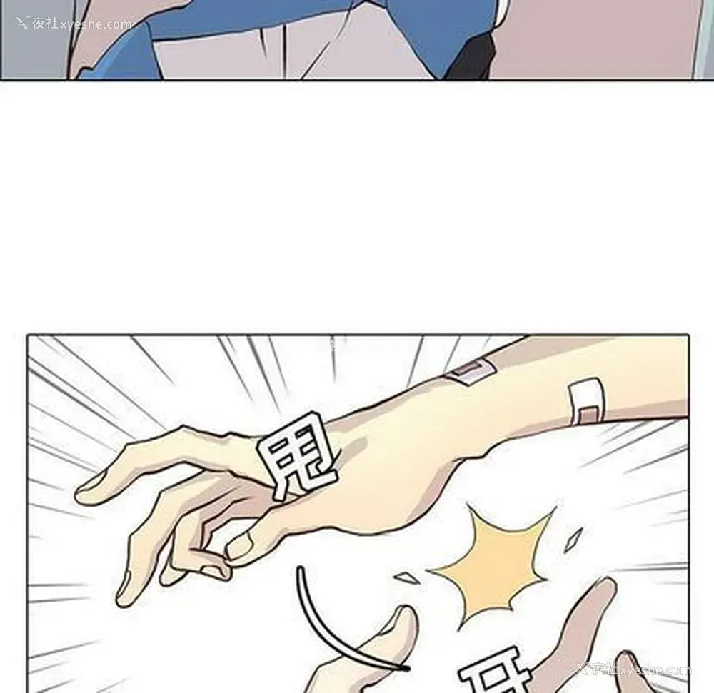 51P - 野性之城